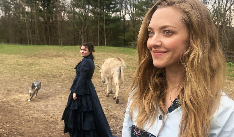Four Things You Don T Know About Amanda Seyfried S Life Right Now