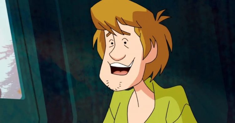 shaggy