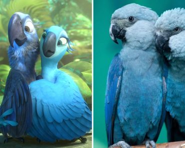 10 Famous On-Screen Birds And Their Species