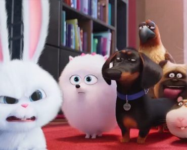 A Passionate Recap of The Secret Life of Pets: A Tale of Unlikely Brotherhood