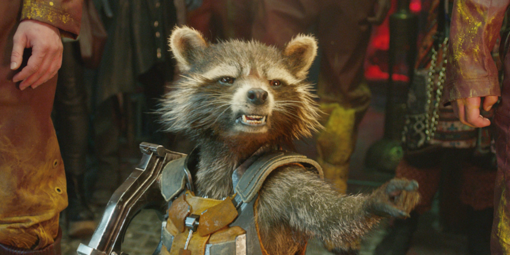 Rocket Racoon Vol3 Guardians Of The Galaxy Vol 3 Cast and Character Guide (Where You Know ...