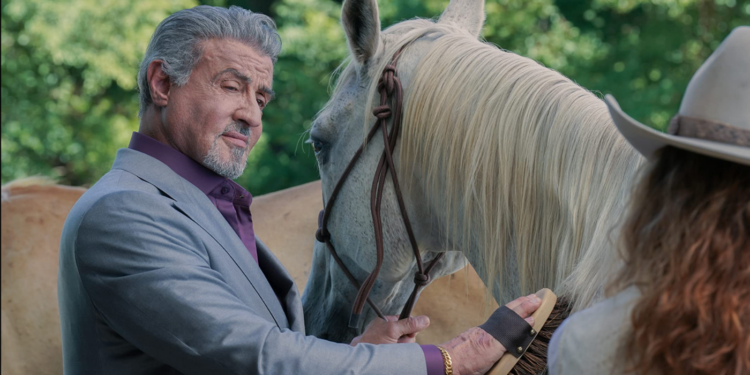 Stallone Brushing Horse 