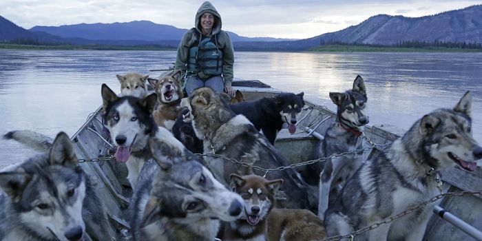 Contestant with huskies on a boat in Life Below Zero