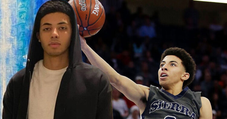 Max Mittelman: The Voice Behind Your Favorite Animated Characters