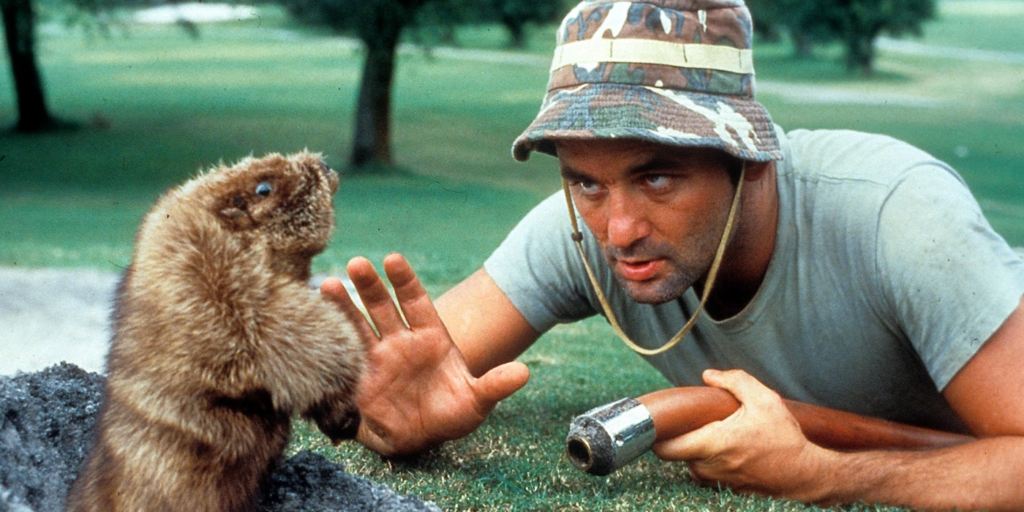 The Cast of Caddyshack Then and Now TVovermind