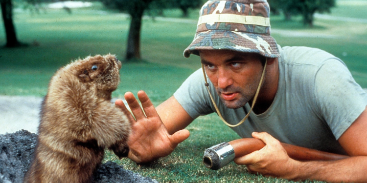 Bill Murray in Caddyshack