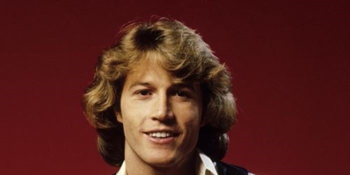 Andy Gibb 1