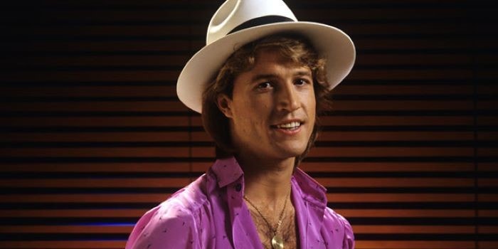 Andy Gibb 2