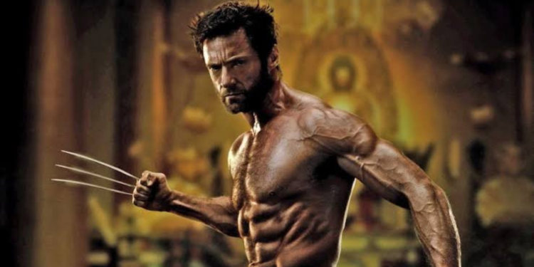 Hugh Jackman as Wolverine