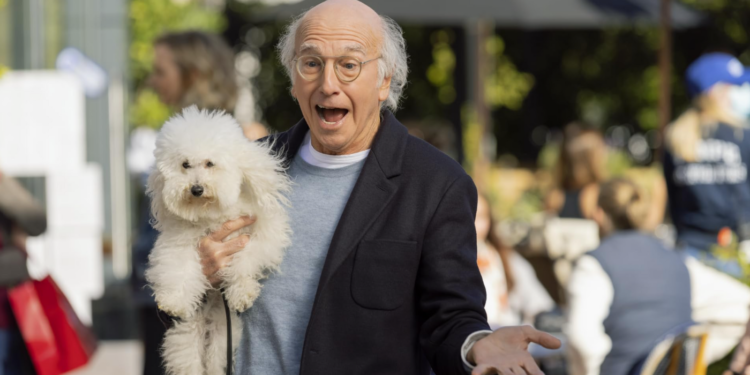 Larry David in Curb Your Enthusiasm 