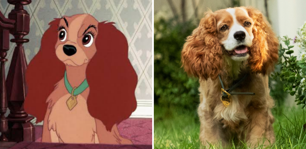 In Depth Analysis Of Lady And The Tramp Characters Tvovermind 4953