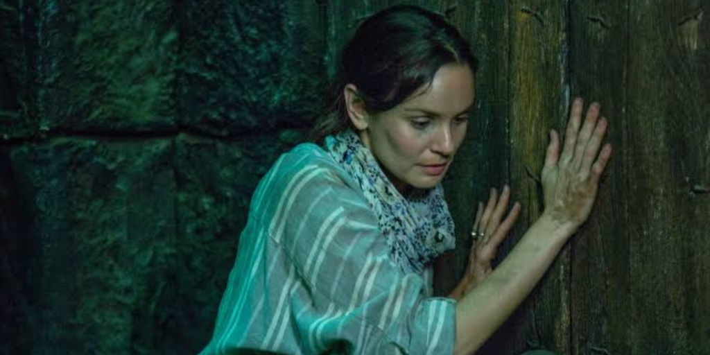 Sarah Wayne Callies: A Journey Through Her Acting Career - TVovermind