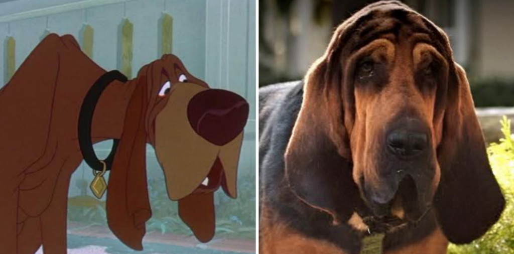 In-depth Analysis of Lady and the Tramp Characters - TVovermind