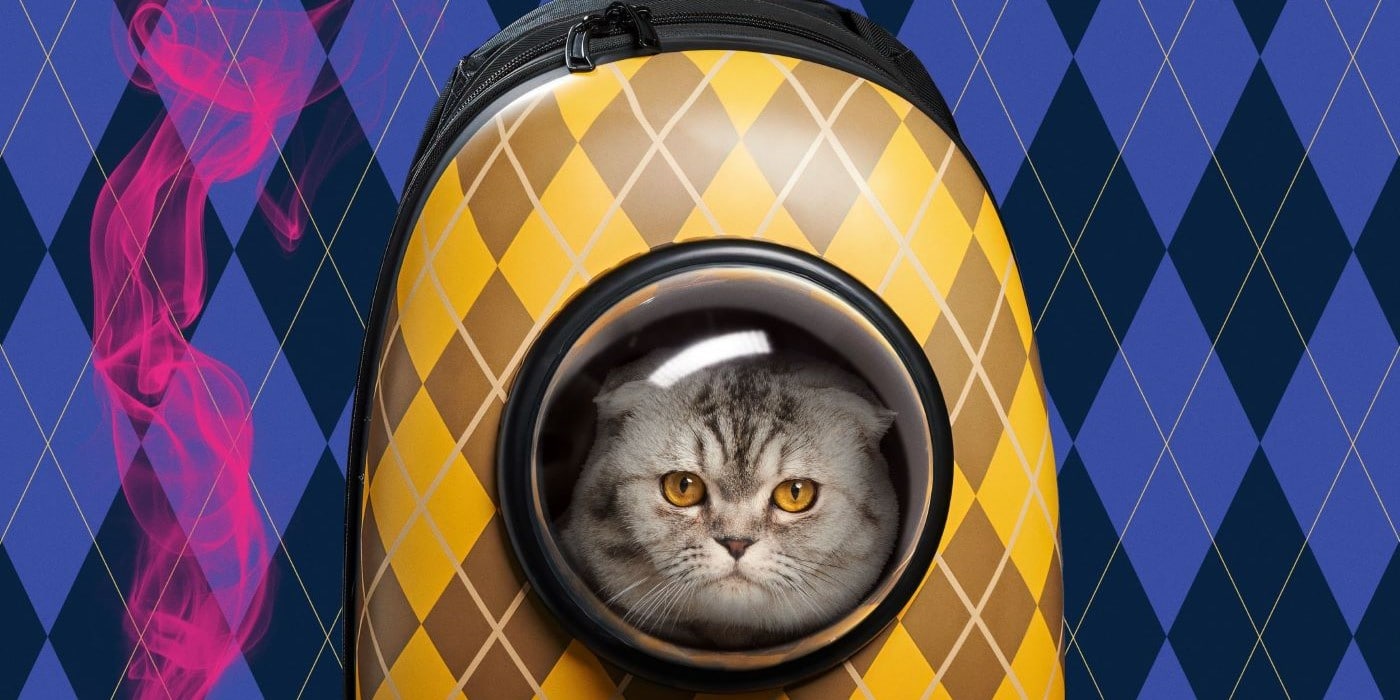 Here’s Why People Think Taylor Swift Secretly Wrote ‘Argylle’ - TVovermind