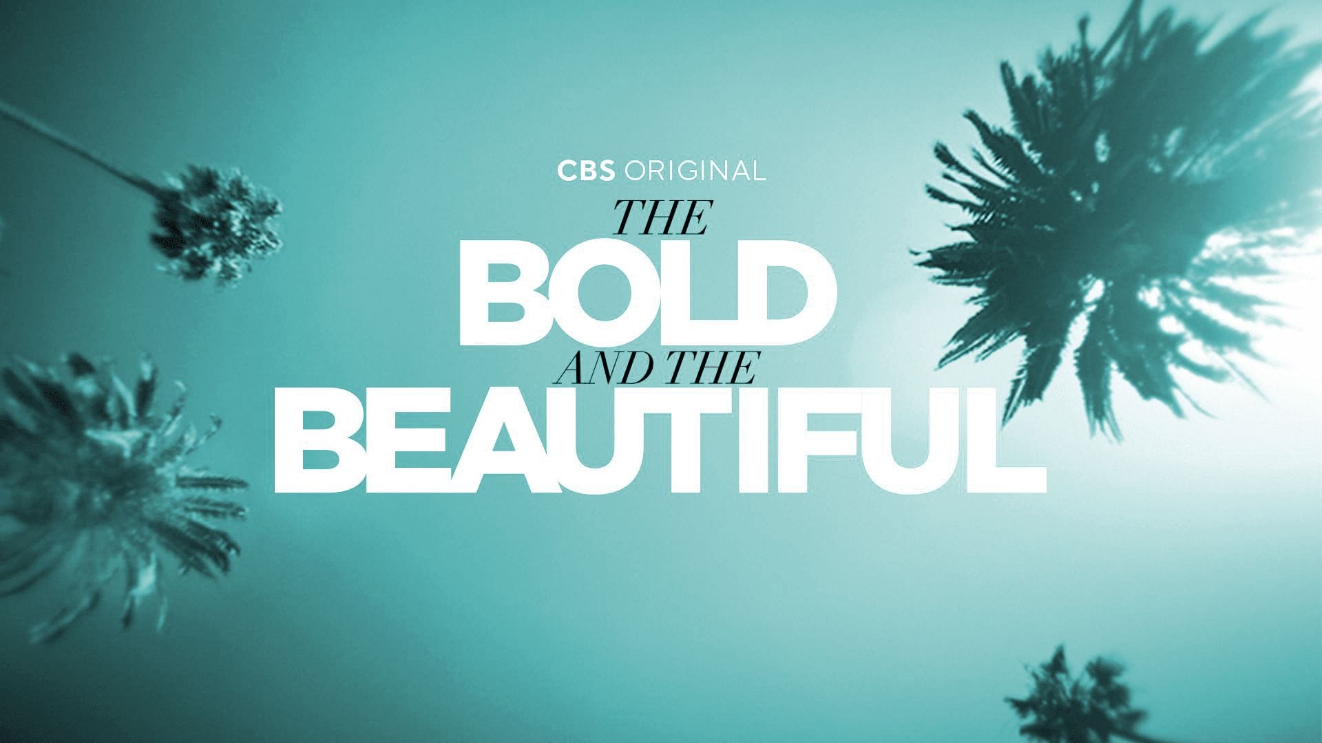 Bold &#038; Beautiful&#8217;s Ridge&#8217;s Decision Sways 2023 Ratings High