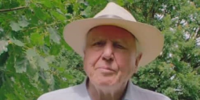 Attenborough on Instagram