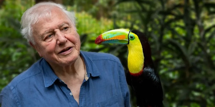 David Attenborough