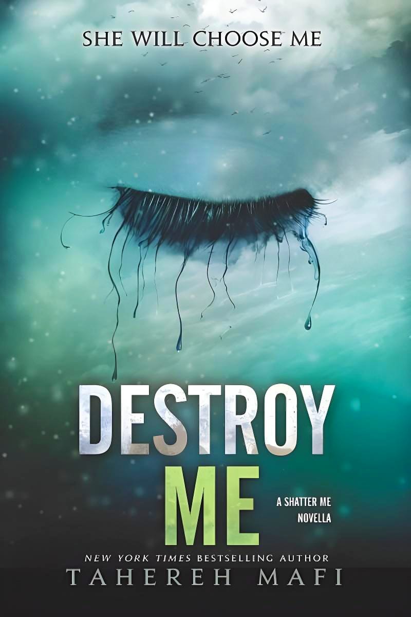 Destroy Me novella