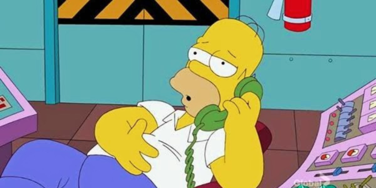 Homer Simpson in The Simpsons