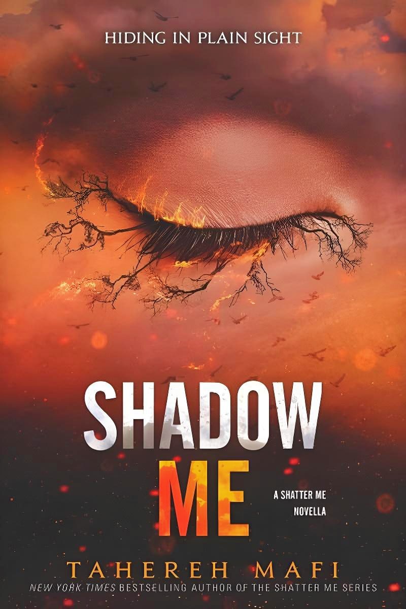 Shadow Me novella