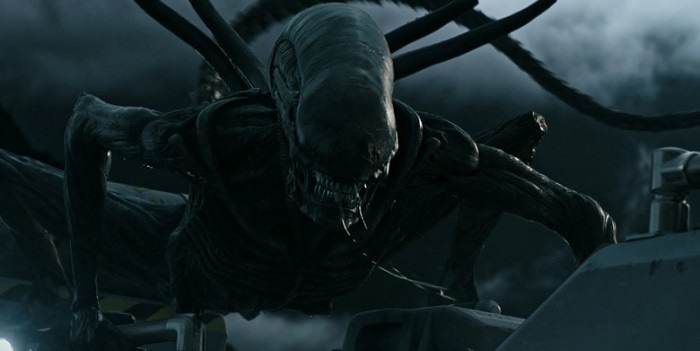 The Xenomorphs from Alien