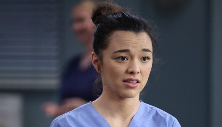 Who Are the New Cast Members of Grey’s Anatomy?