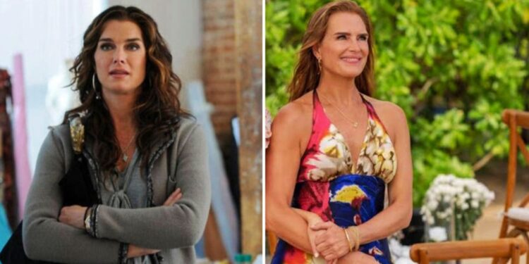 Brooke Shields in Lipstick Jungle and Now