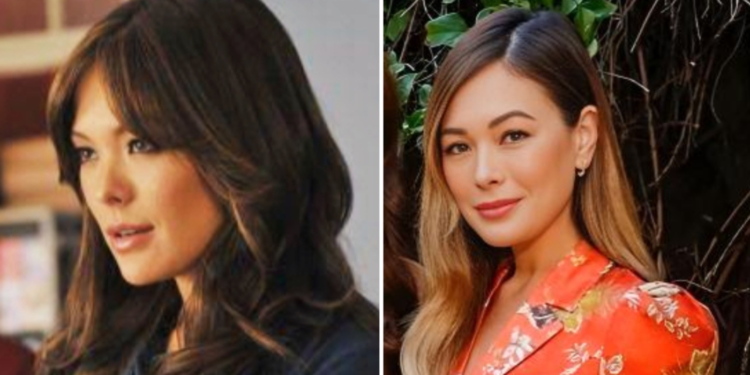 Lindsay Price in Lipstick Jungle and Now