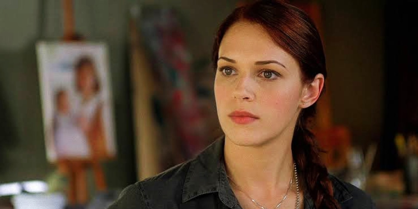 The Mentalist Cast: See What the Actors Have Been Up To