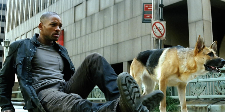 Will Smith and Abbey in I Am Legend (2007)