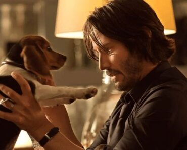 9 Sneaky Hints John Wick Might Cheat Death Once Again