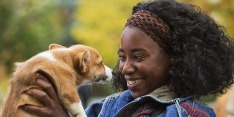 Kirby Howell-Baptiste in A Dogs Purpose