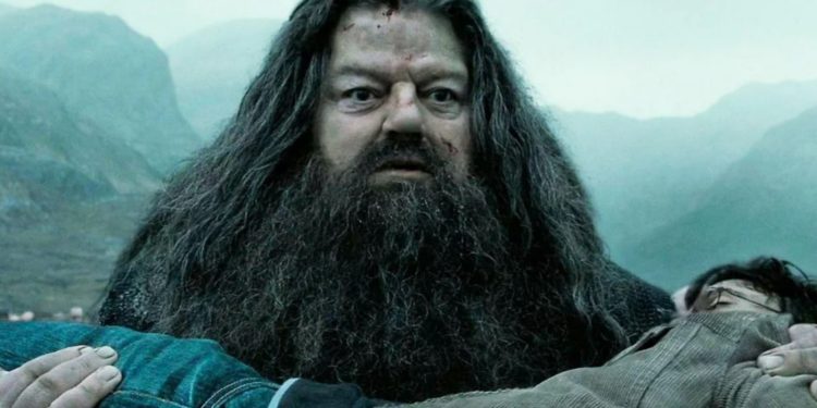 Rubeus Hagrid in Harry Potter