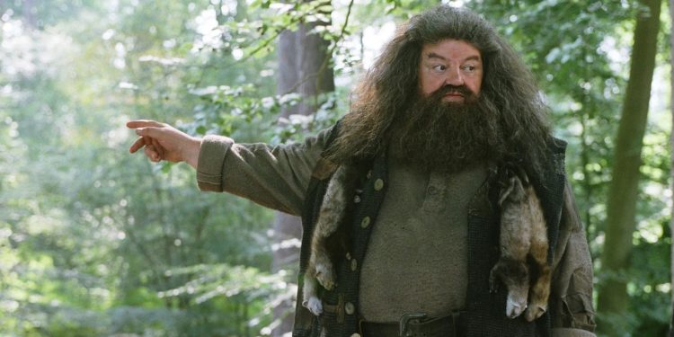 Rubeus Hagrid in Harry Potter