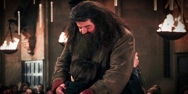 Rubeus Hagrid in Harry Potter