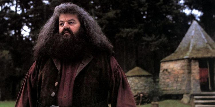 Rubeus Hagrid in Harry Potter