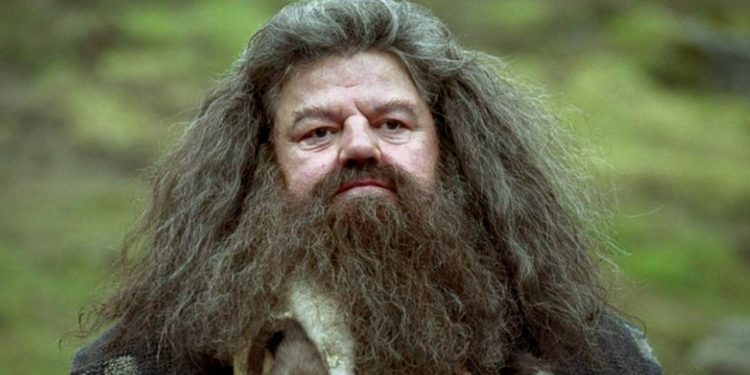 Rubeus Hagrid in Harry Potter