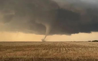 Image of the newly captured Texas Tornado