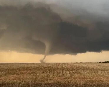 Image of the newly captured Texas Tornado