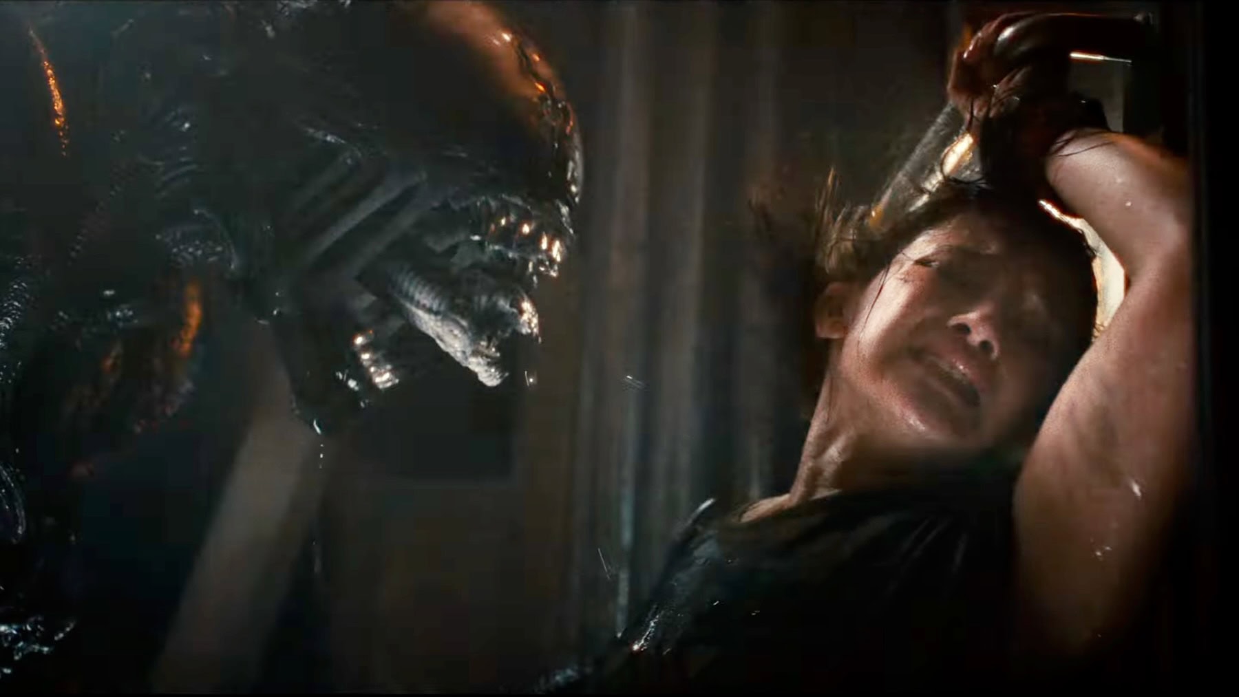 First Look at Alien Romulus Trailer Brings Facehuggers and Nostalgia