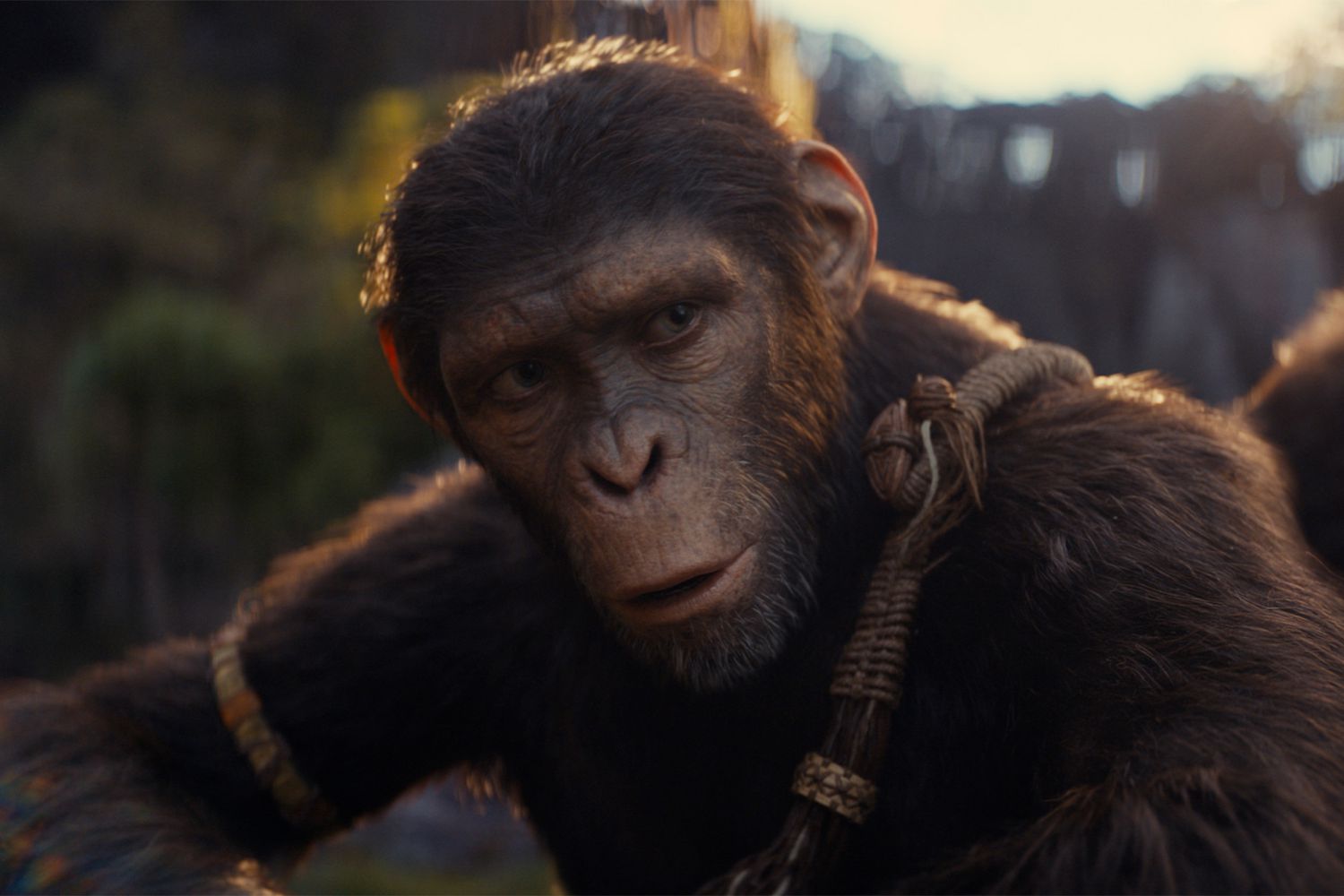 Kingdom of the Planet of the Apes Bridges Past and Future with Stunning Visuals