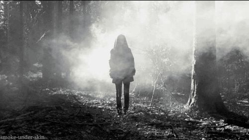 Ishana Night Shyamalan Explores Woodland Horror in Her Debut Film The Watchers