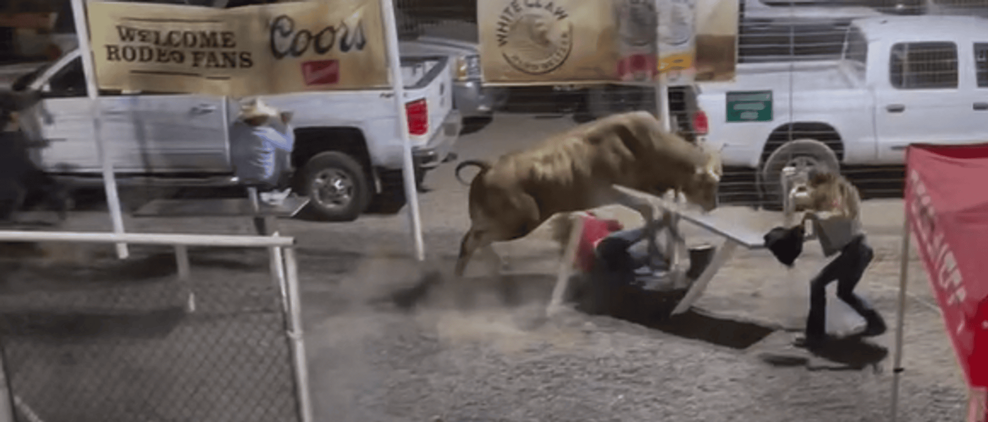 Bull Party Bus Leaps into Oregon Rodeo Crowd, Causing Chaos and Injuries