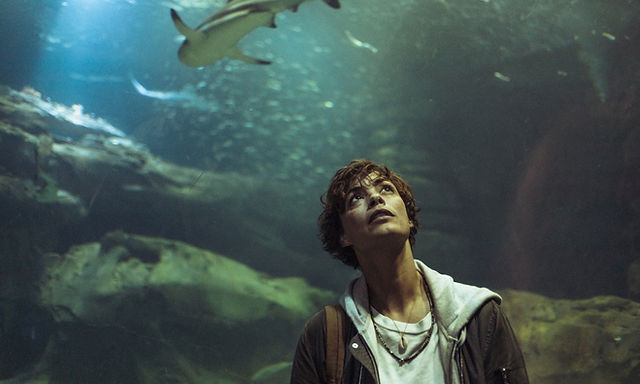 New Shark Thriller Takes Top Spot from Godzilla Minus One on Netflix