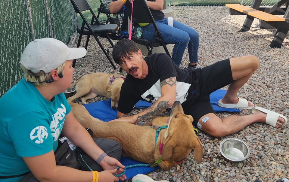 Red Hot Chili Peppers Visit Albuquerque Animal Shelter to Support Rescue Pups