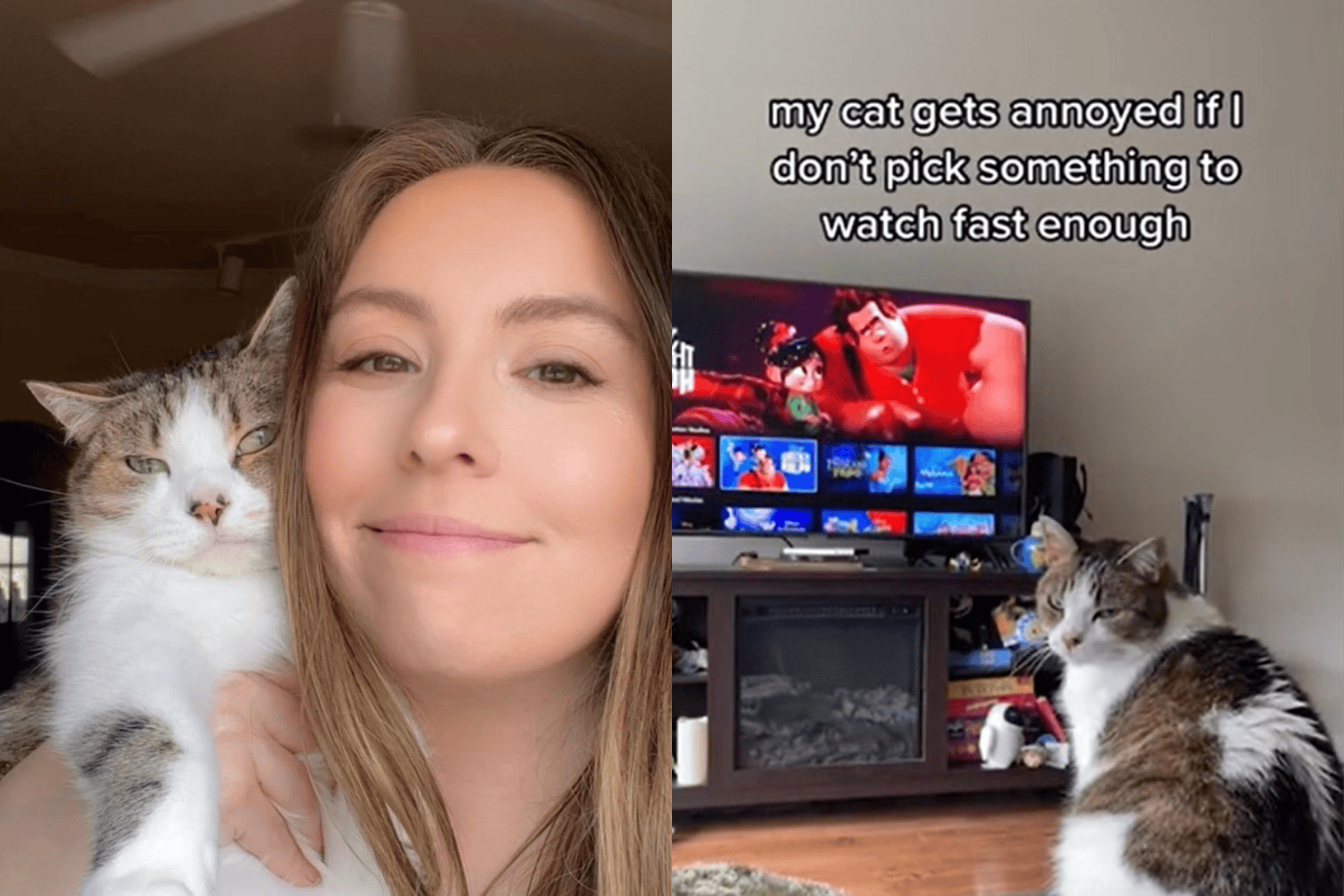 Why Your Cat is Hooked on Watching TV