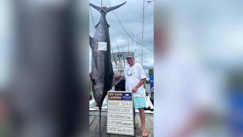 North Carolina Fishing Team Wins $1.7M at Big Rock Blue Marlin Tournament with 504-Pound Catch