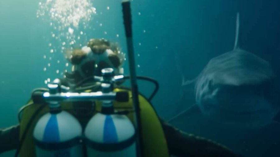 The New French Shark Thriller Under Paris Dominates Netflix Charts