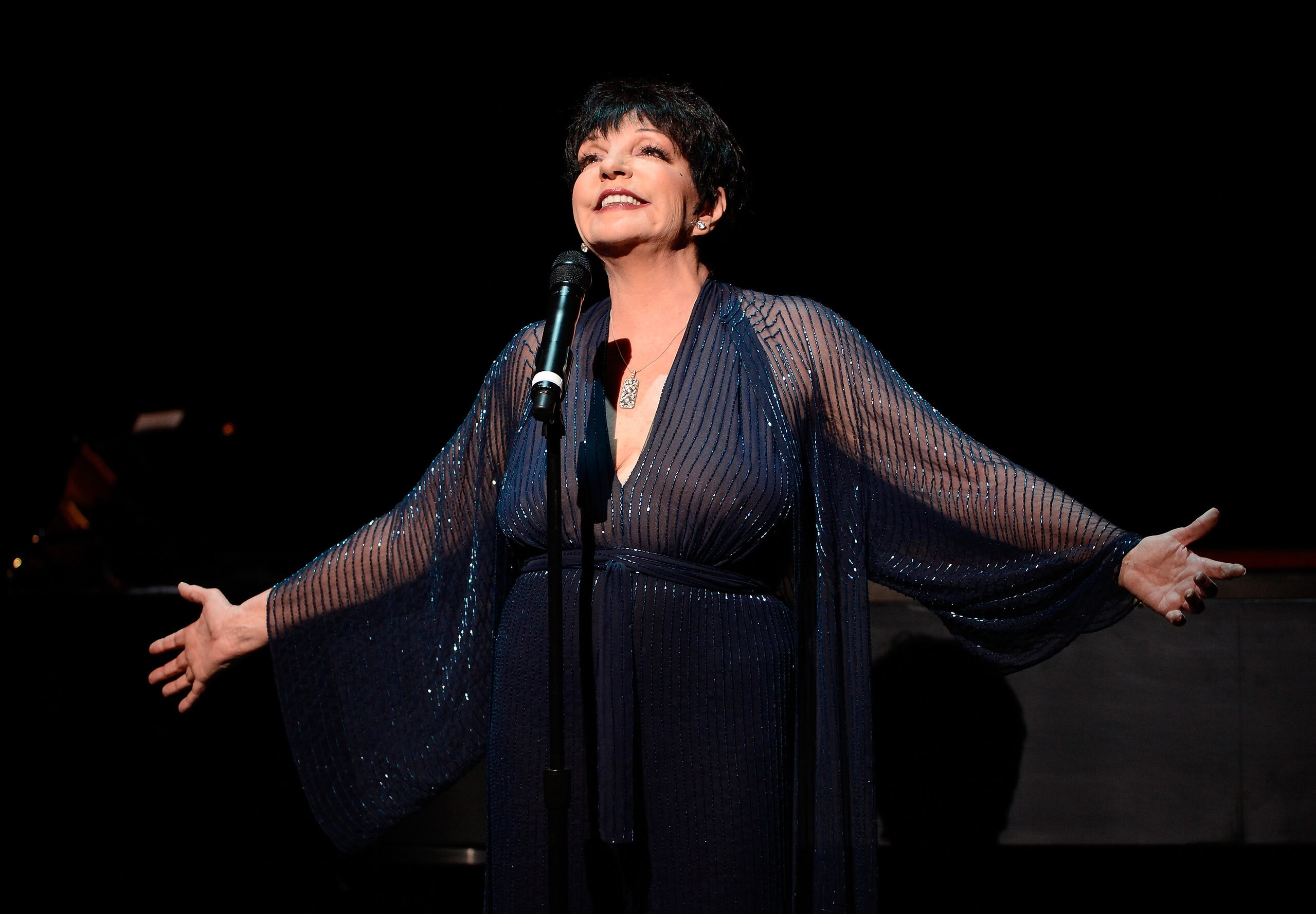 Tribeca Festival 2024 Hosts Liza Minnelli Documentary Premiere