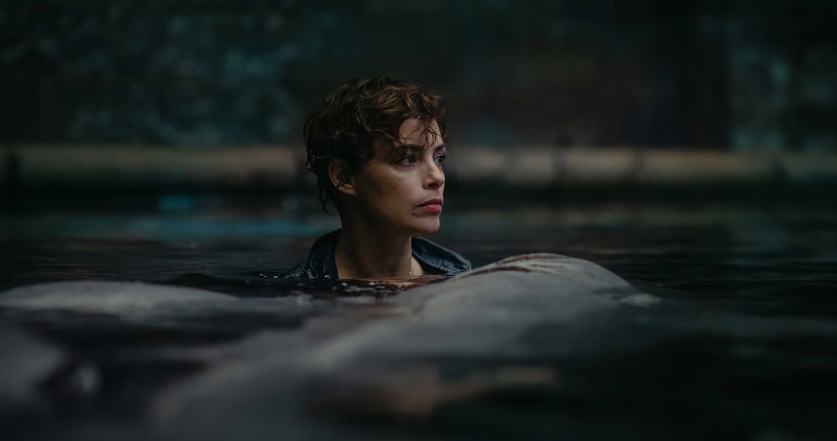 Under Paris is Captivating Netflix with Its Unconventional Shark Thriller